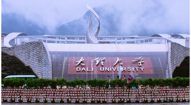Dali University Scholarship 