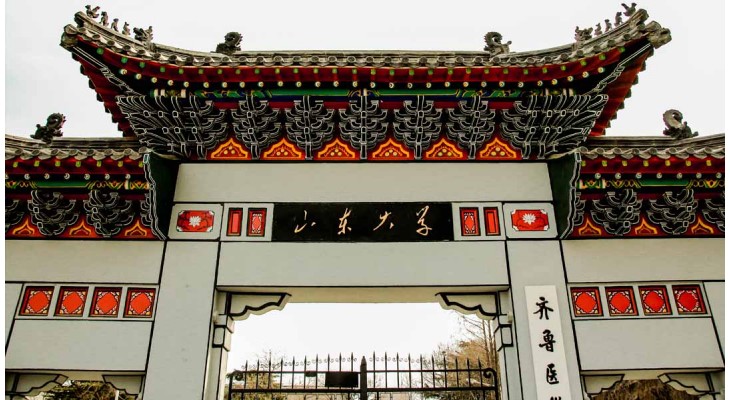 Shandong University Freshman Scholarship