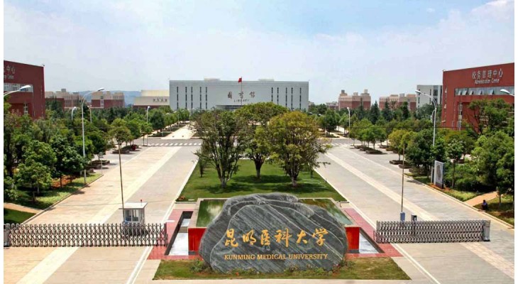 Kunming Medical University Chinese Government Scholarship 